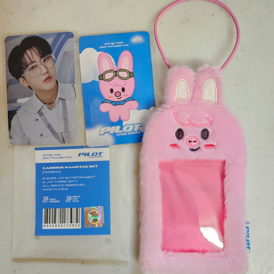 Straykids ペンミ PILOT SKZOO トレカケース チャンビン Straykids ペンミ PILOT SKZOO トレカケース チャンビン