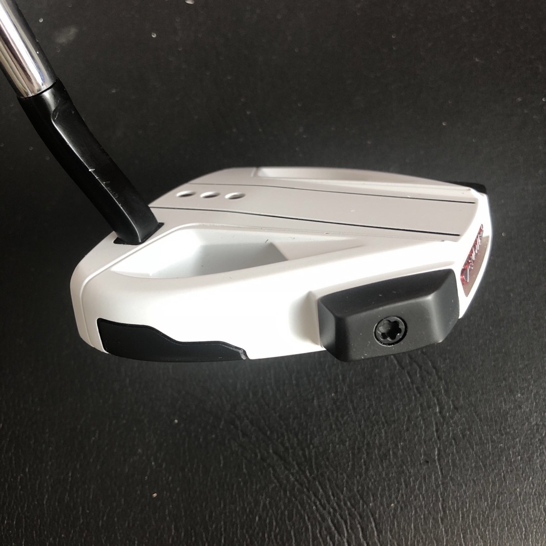 TaylorMade - テーラーメイド スパイダーEX 34インチ フローネック ...