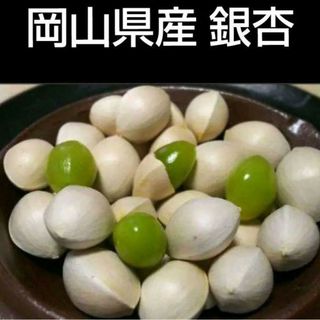 （令和5年）2023年 岡山県産 銀杏 ぎんなん 500g ギンナン 無農薬(野菜)