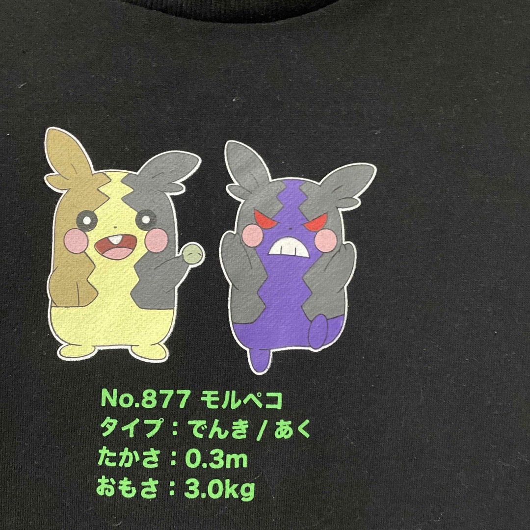 ポケモン(ポケモン)のポケモントレーナー150 キッズ/ベビー/マタニティのキッズ服男の子用(90cm~)(Tシャツ/カットソー)の商品写真