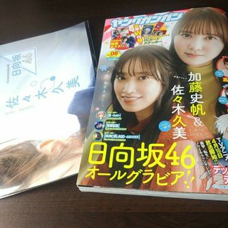 スクウェアエニックス(SQUARE ENIX)の日向坂46   ヤングガンガン  8号  付録応募券無(青年漫画)