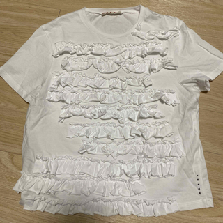 マルニ(Marni)のMARNI フリルTシャツ　14Y 大人着用OK(Tシャツ(半袖/袖なし))