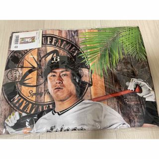 オリックスバファローズ(オリックス・バファローズ)のオリックス　宮崎キャンプ　杉本裕太郎　フェイスタオル(スポーツ選手)