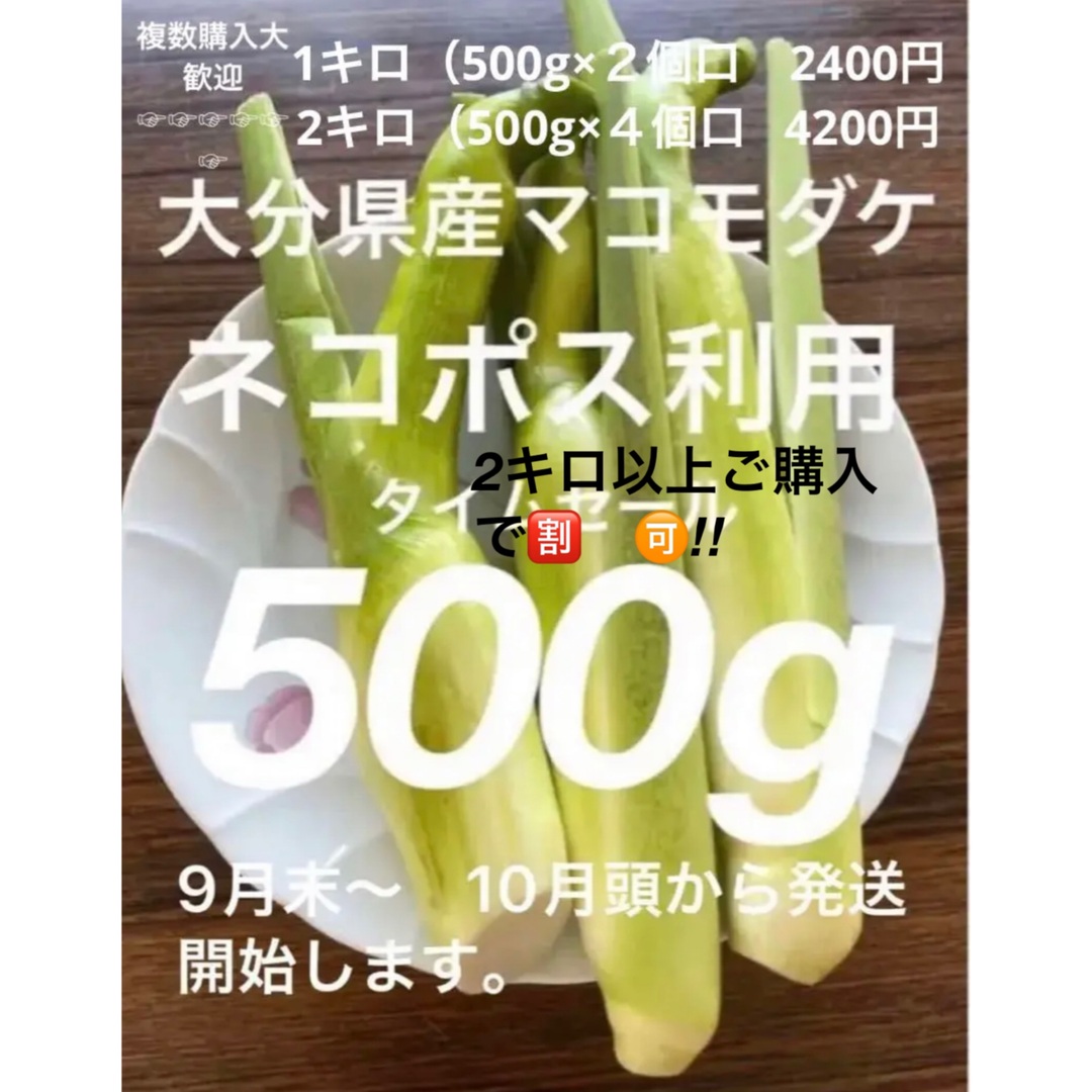 大分県産マコモダケ　（マコモタケ 食品/飲料/酒の食品(野菜)の商品写真