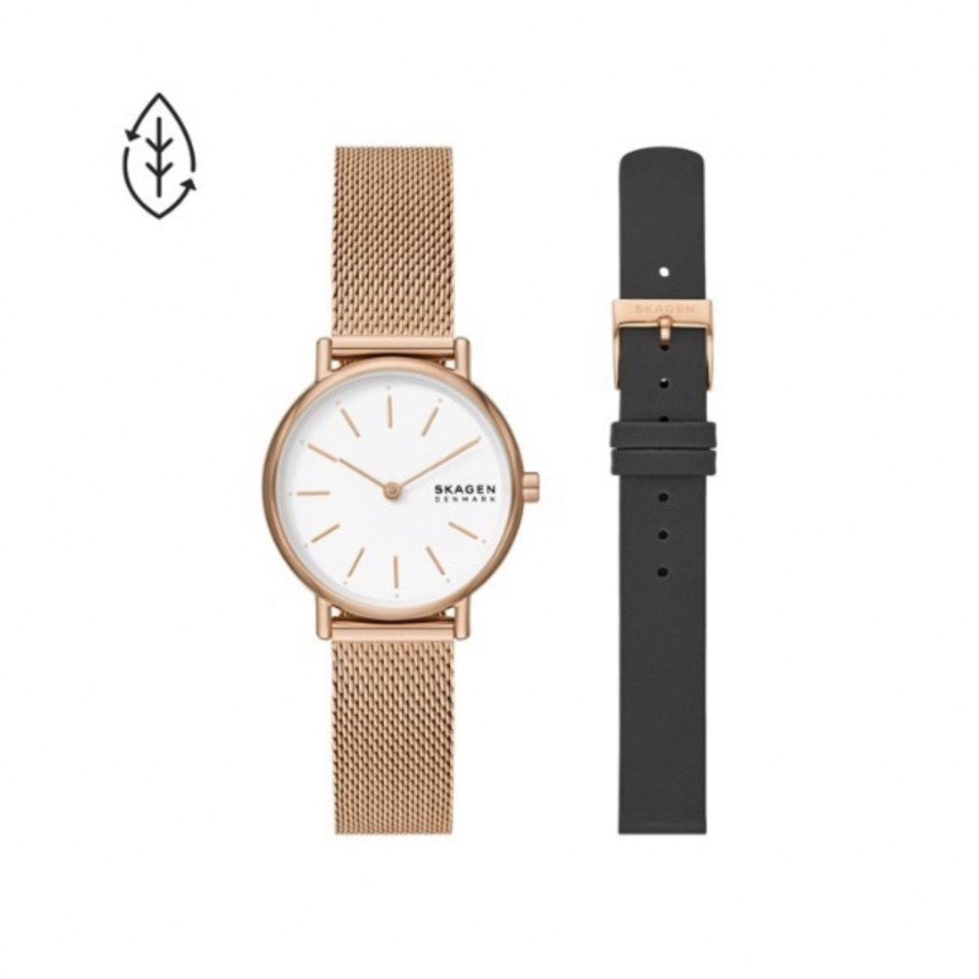 未使用品☆SKAGEN SIGNATUR LILLE BOX SET 1