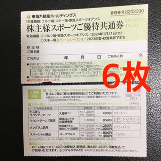 ★東急不動産株主優待 6枚★東急スポーツオアシス、スキー場リフト券(フィットネスクラブ)