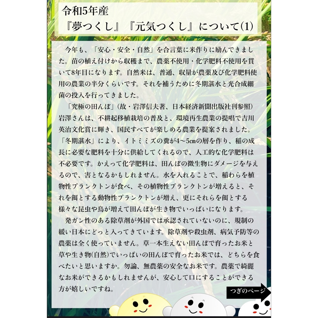 米/穀物　玄米20kg　福岡県産『元気つくし』令和４年産　準自然米)　発芽玄米用に