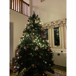 クリスマスツリー　210cm(その他)