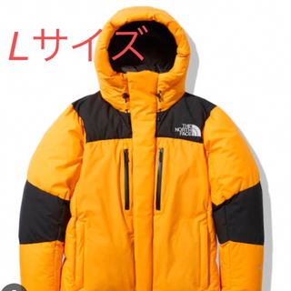 ザノースフェイス(THE NORTH FACE)のTHENORTH FACE マウンテン ダウンジャケット ND91930 L(ダウンジャケット)