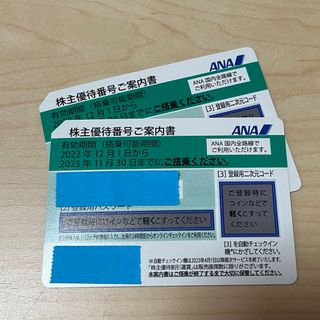 エーエヌエー(ゼンニッポンクウユ)(ANA(全日本空輸))のANA株主優待券2枚セット ANA(全日空)(航空券)