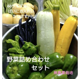 野菜詰め合わせセット　無農薬野菜（60サイズ）(野菜)