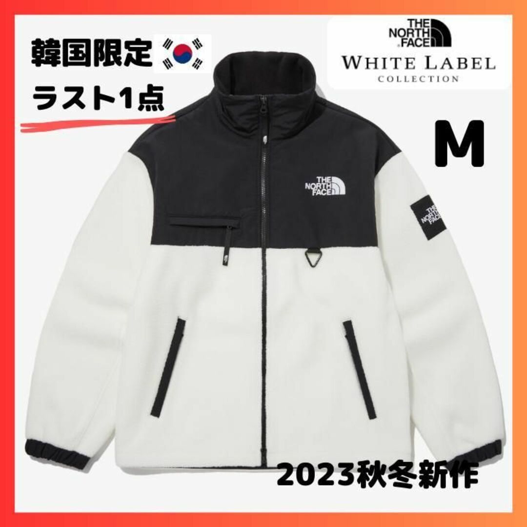 韓国限定 1点のみ The North Face リモフリースMサイズ ブラック