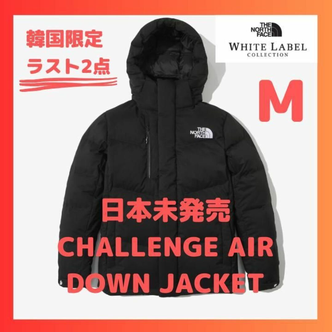 新品【海外限定】ザ ノース フェイス チャレンジエアダウン ジャケット M