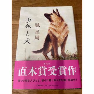 美品！送料込み⭐️少年と犬(文学/小説)