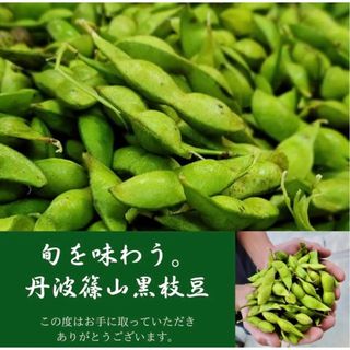 丹波篠山黒枝豆    (野菜)