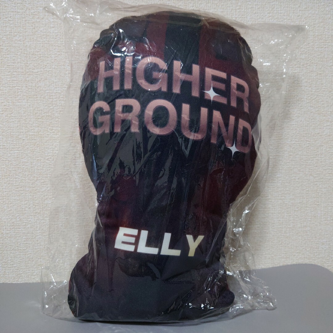 ELLY BIGクッション ハイグラ HIGHER GROUND 赤