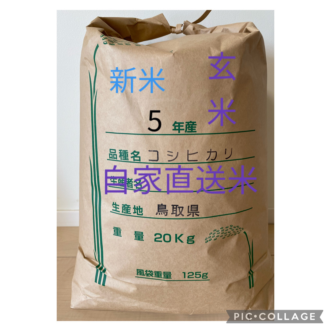 玄米》 お米20kg 令和5年 鳥取県産 コシヒカリ《玄米》 - 米