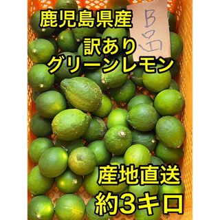 鹿児島県産　訳ありグリーンレモン　約3キロ(フルーツ)