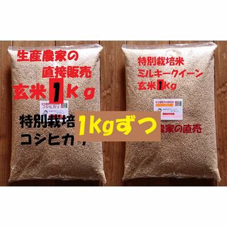 ★新米★[玄米]特別栽培米コシヒカリとミルキークイーン１ｋｇづつセット減農薬栽培(米/穀物)