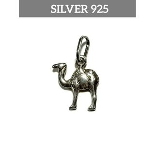 【匿名配送】シルバー ペンダントトップ ネックレスチャーム silver925(ネックレス)