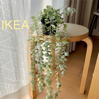 イケア(IKEA)の【新品】IKEA イケア フェイクグリーン（ユーカリ）フェイカ(その他)