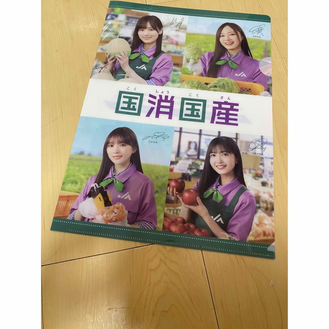 乃木坂　クリアファイル　非売品　国消国産 エンタメ/ホビーのタレントグッズ(アイドルグッズ)の商品写真