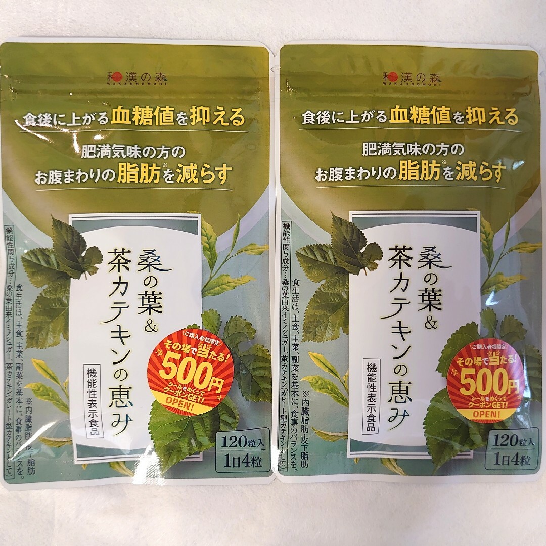 和漢の森　桑の葉&茶カテキンの恵み 120粒入×2袋