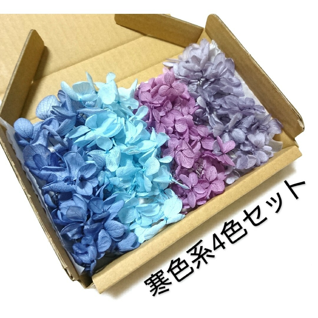 【お得】 まとめ売り アジサイ プリザーブドフラワー ドライフラワー 大地農園