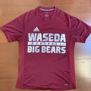 アディダス(adidas)のadidas×早稲田“BIG BEARS“チームトレーニングTシャツMDサイズ(アメリカンフットボール)