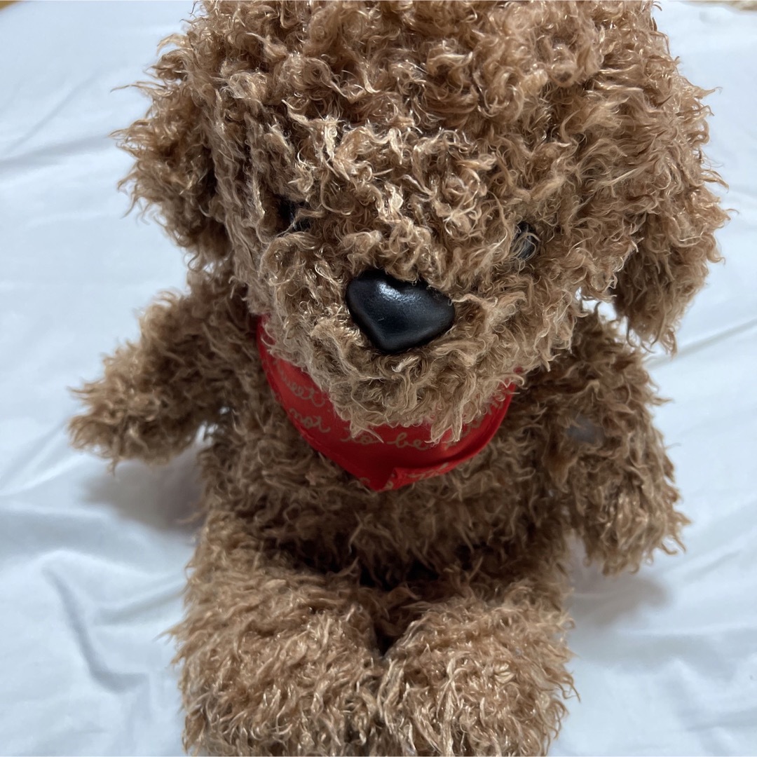 シナダカンパニー 昭和レトロ ぬいぐるみ 犬 トイプードルの通販 シナダカンパニー 昭和レトロ ぬいぐるみ 犬 トイプードルの通販