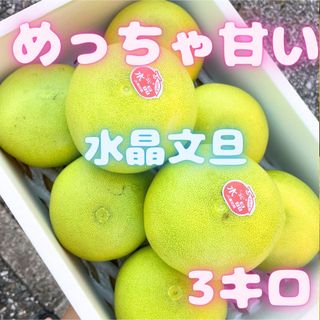 ❗️お試し価格今だけこのお値段❗️めっちゃ甘い　水晶文旦　10(フルーツ)