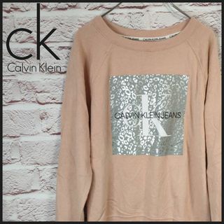 カルバンクライン(Calvin Klein)のCALVINKLEIN　カルバンクライン トレーナー　デカロゴ(トレーナー/スウェット)