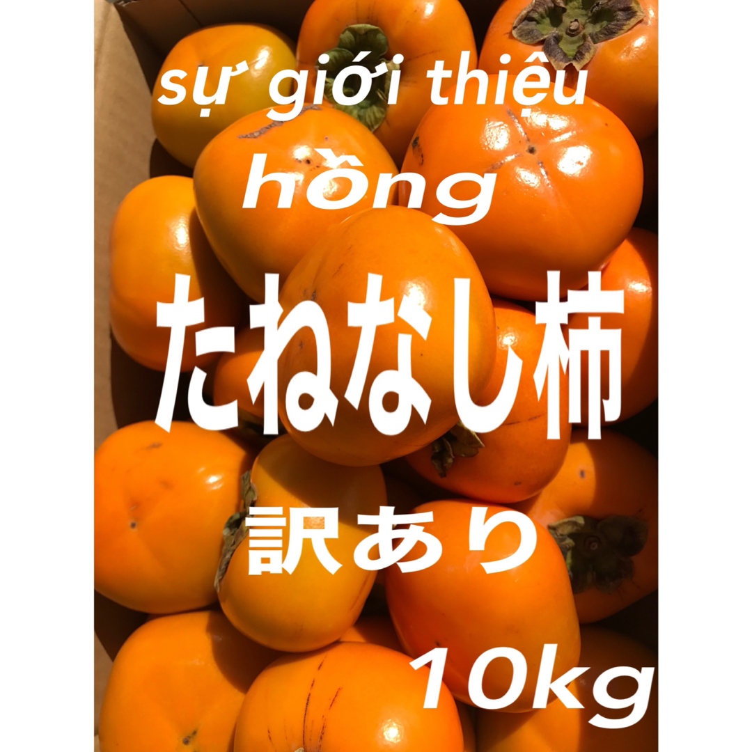 種無し柿Hồng　果物