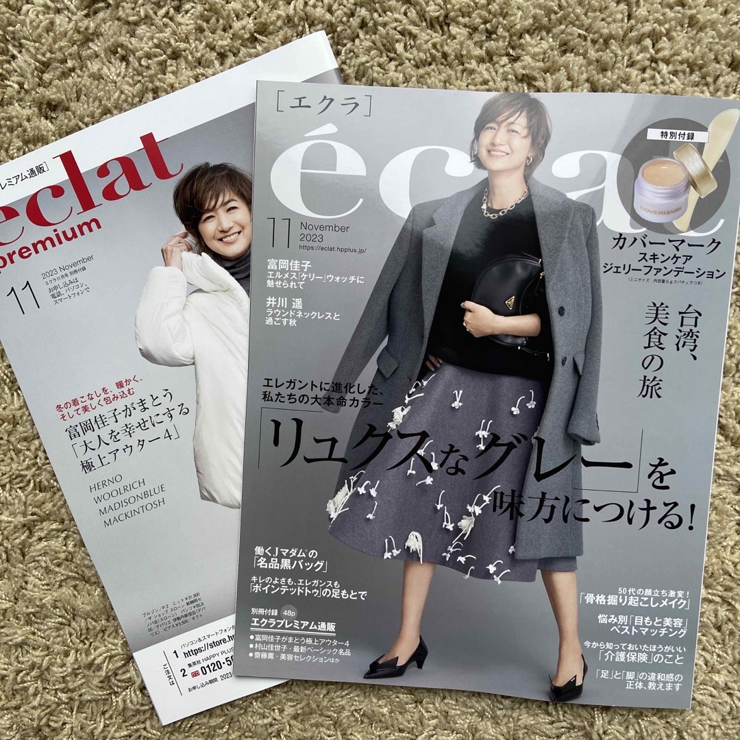 集英社(シュウエイシャ)のeclat (エクラ) 2023年 11月号 エンタメ/ホビーの雑誌(ファッション)の商品写真