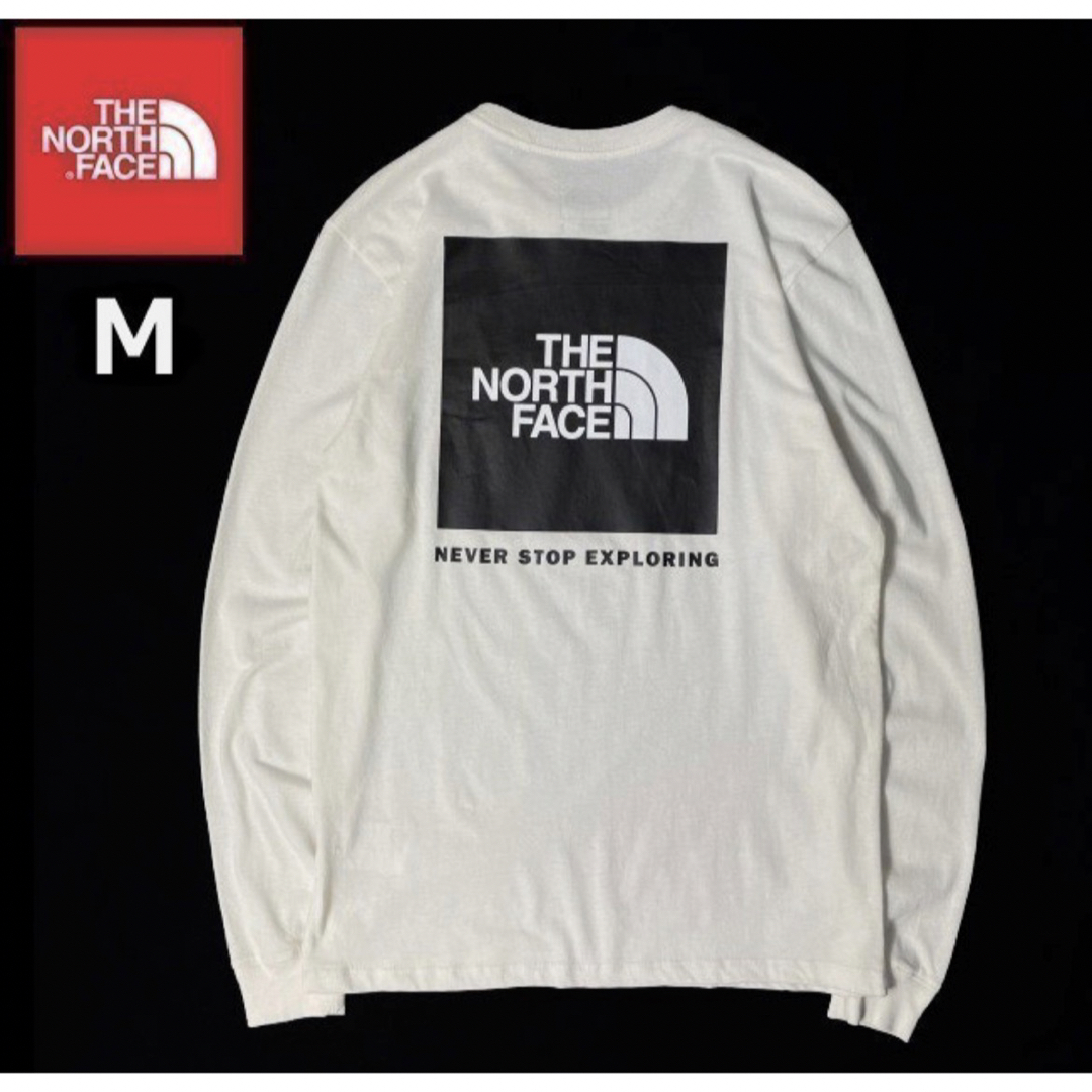 THE NORTH FACE(ザノースフェイス)のTHE NORTH FACE L/S BOX NSE TEE 長袖T US限定 メンズのトップス(Tシャツ/カットソー(七分/長袖))の商品写真