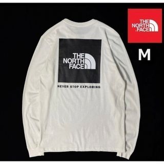 ザノースフェイス(THE NORTH FACE)のTHE NORTH FACE L/S BOX NSE TEE 長袖T US限定(Tシャツ/カットソー(七分/長袖))