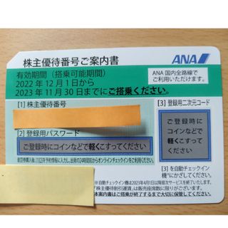 エーエヌエー(ゼンニッポンクウユ)(ANA(全日本空輸))のいぶいぶ〜樣専用　ANA株主優待券1枚　2023.11.30期限(航空券)