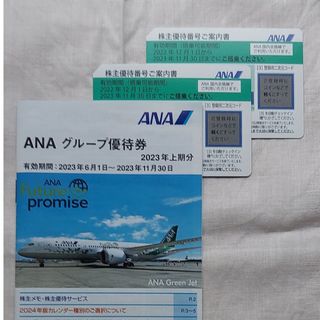 エーエヌエー(ゼンニッポンクウユ)(ANA(全日本空輸))のANA株主優待券2枚＆グループ優待券(航空券)