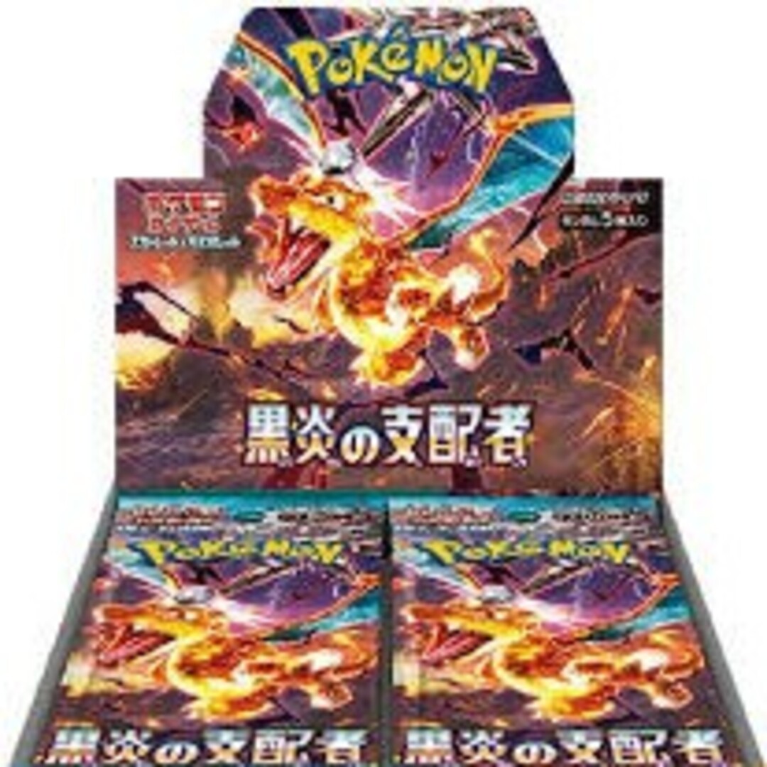 ポケモンカード10BOX 黒煙、レイジング、古代、未来