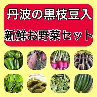 丹波産黒枝豆入り‼️野菜セット‼️(野菜)