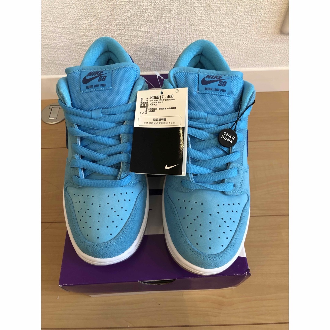 dunk sb blue fury low pro ダンク