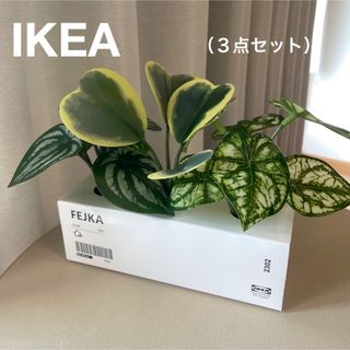 イケア(IKEA)の【新品】IKEA イケア フェイクグリーン 3個セット（フェイカ）ベゴニア(その他)