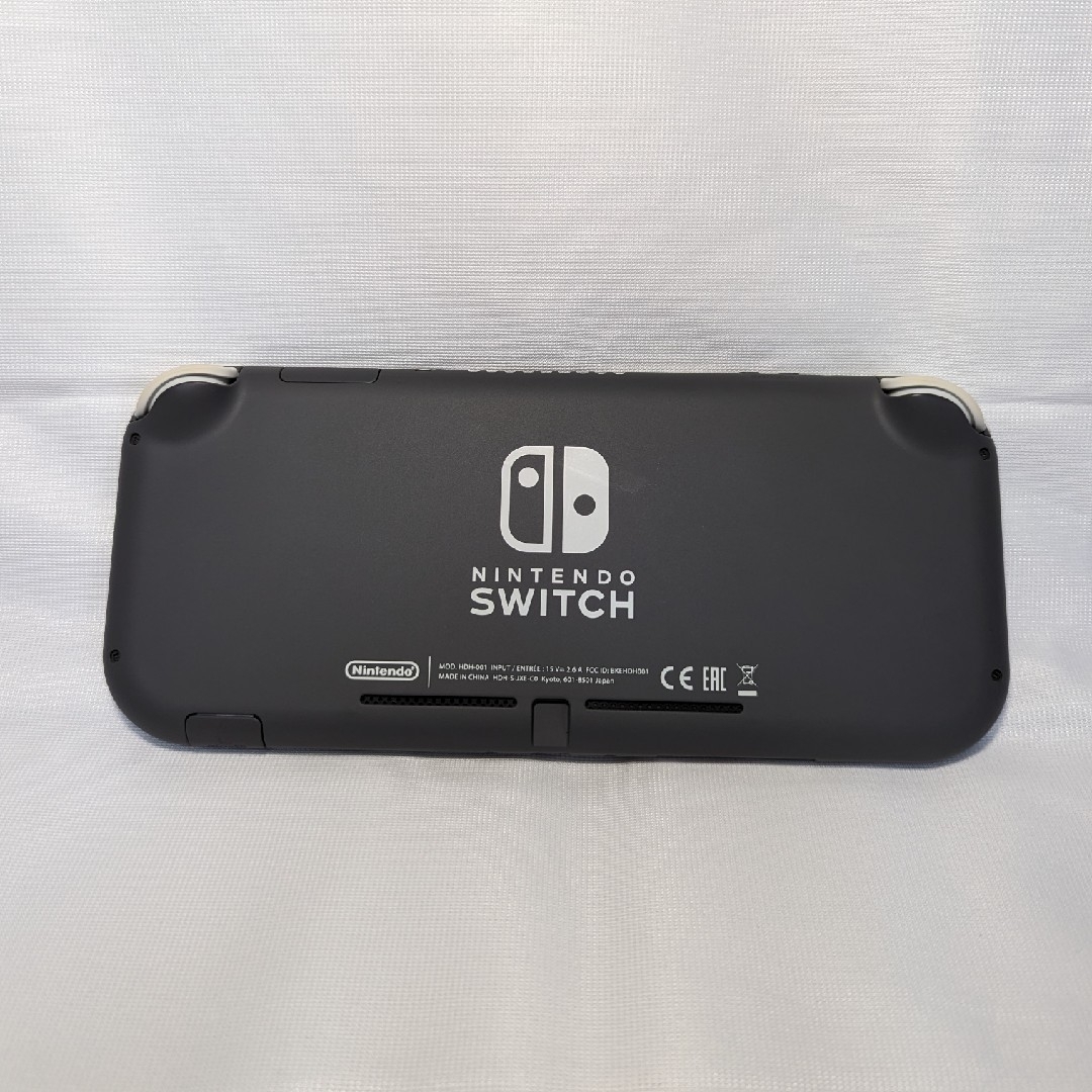 Nintendo Switch Lite GLAY 1