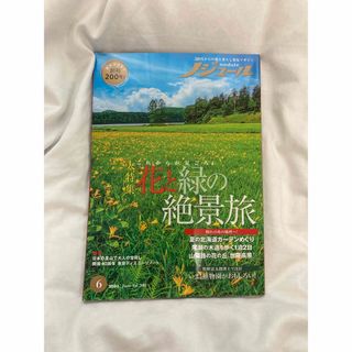 ノジュール6月号(地図/旅行ガイド)