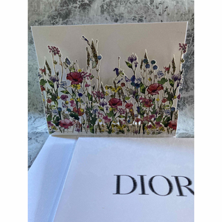 Christian Dior - DIOR 立体メッセージカード レア 2枚の通販 by