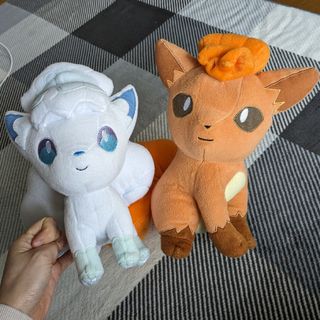 ポケモン(ポケモン)のポケモン ロコン ぬいぐるみ セット(ぬいぐるみ)