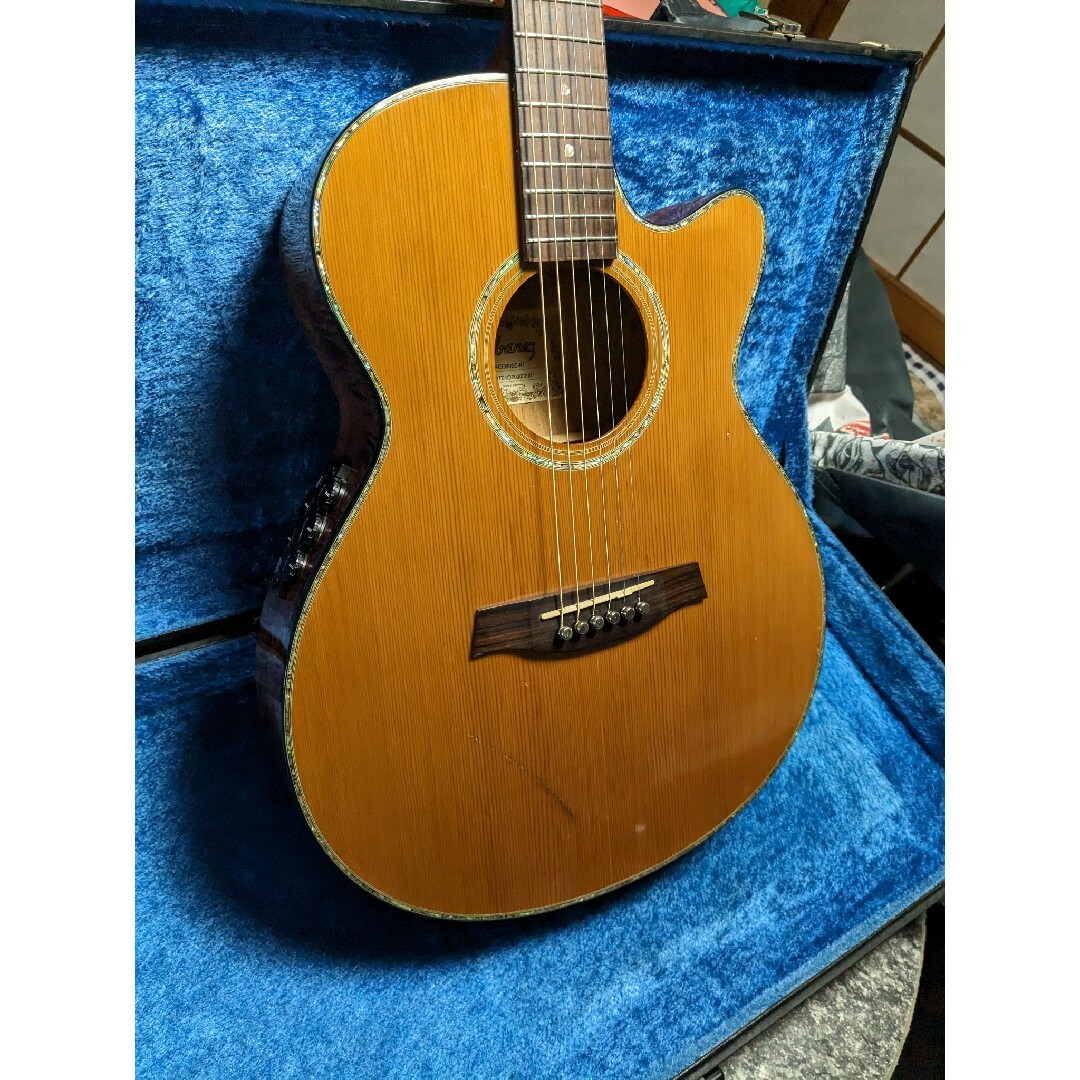 Ibanez AEG60SE NT MOD　オール単板