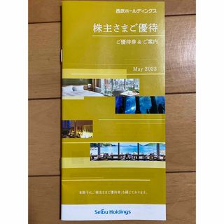 西武ホールディングス株主優待1冊（100株）2023年11月30日まで（切符無）(その他)