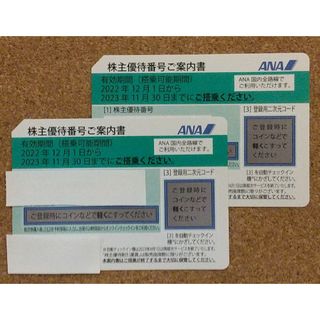 エーエヌエー(ゼンニッポンクウユ)(ANA(全日本空輸))の全日空 ANA株主優待券2枚セット(その他)