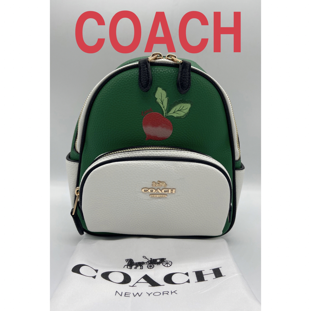 ★新品未使用★COACH コーチ リュック バッグパックレディース C8259